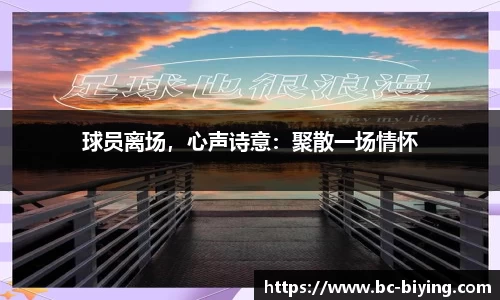 bwin必赢体育官网